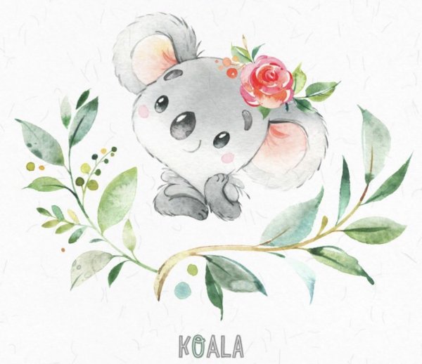 Рисунки с милыми коалами