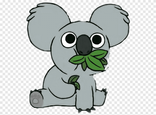 Ном ном коала