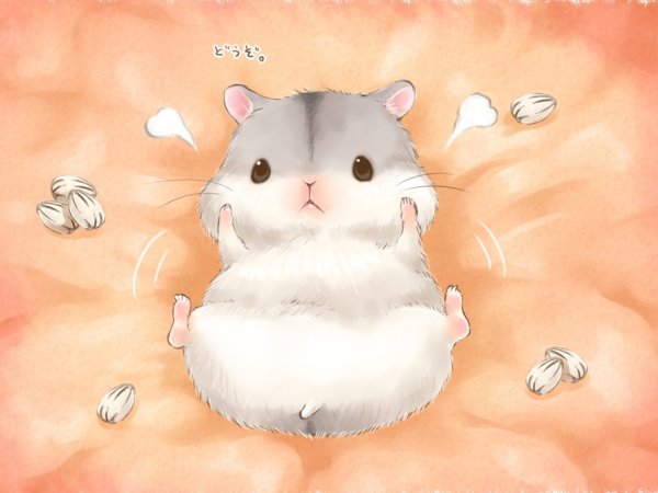 Хомяки арты