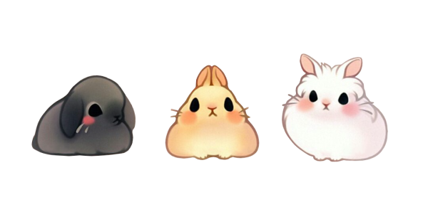 Кавайные зайки