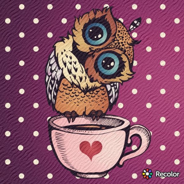 Сова с кофе