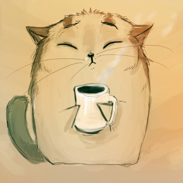Котик пьет кофе