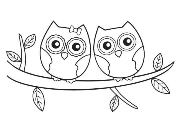 Раскраска Сова на ветке для детей