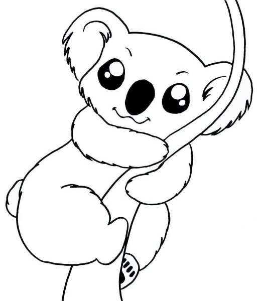 Раскраска Куала