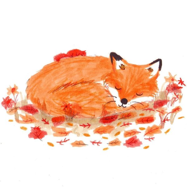 Осенний Лисенок