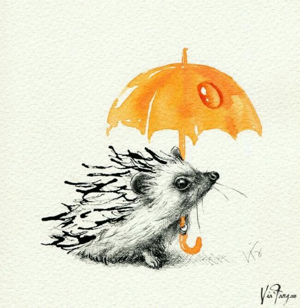 Милые осенние зарисовки