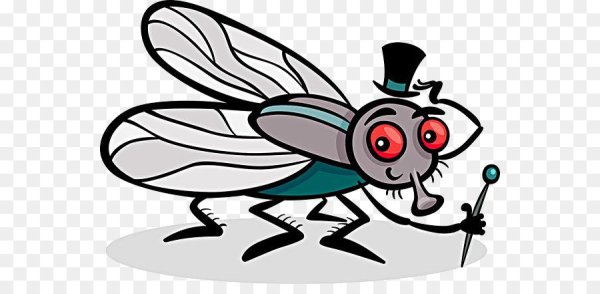 Муха рисунок для детей