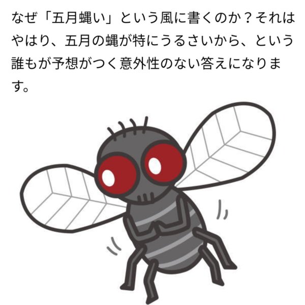 Анимешная Муха