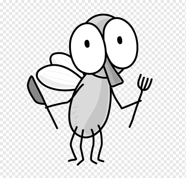 Муха (насекомое)