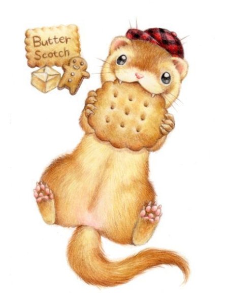 Мультяшные милые хорьки