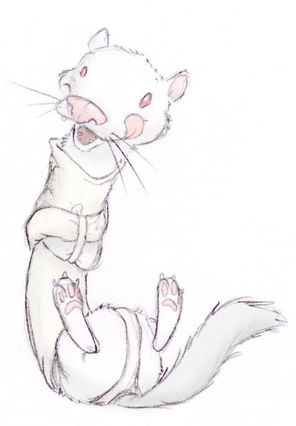 Хорьки мультяшные