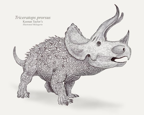 Палеоарт Трицератопс