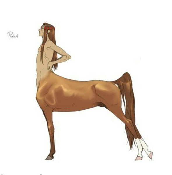 Кентавр полулев референс