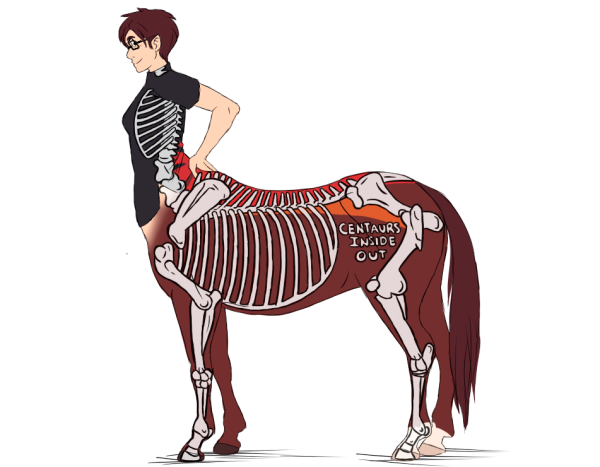 Кентавр лошадь референс