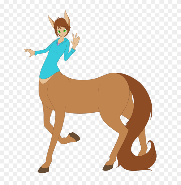 АЭРИК Кентавр мультик