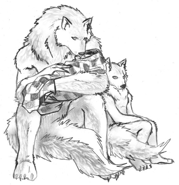 Влюбленные волки карандашом