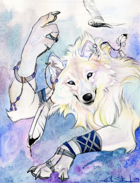 Чайка и волк