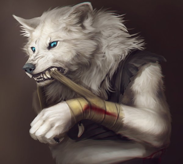 Волк оборотень