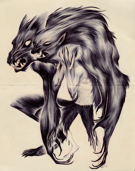 Оборотень Графика