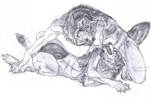 Оборотень для срисовки