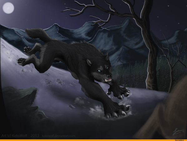 Милые оборотни