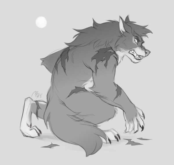 Референс аниме Вервольф