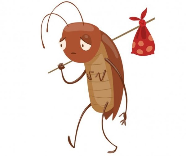 Таракан мультяшный