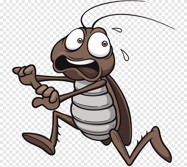 Веселый таракан