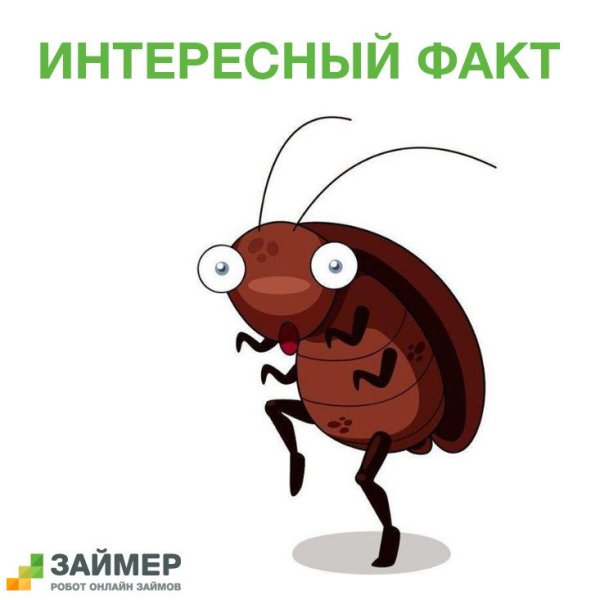 Таракан мультяшный