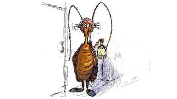 Таракан Тимоша