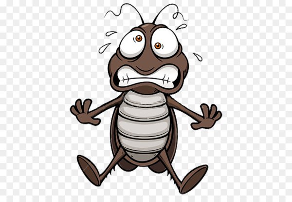 Смешной таракан