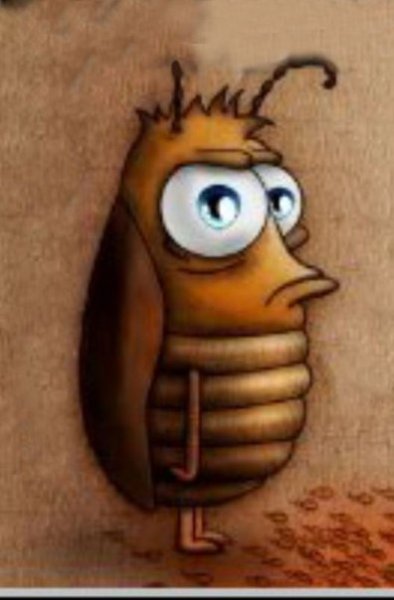 Таракан прикольный