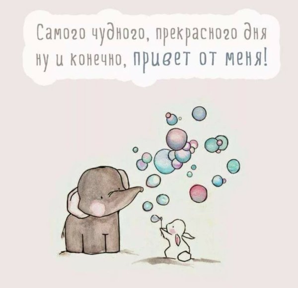 Цитаты с милыми рисунками