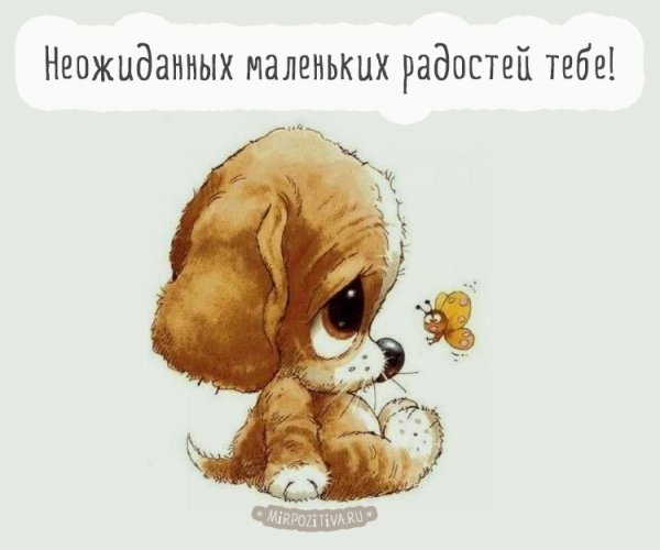 Милые собачки мультяшные