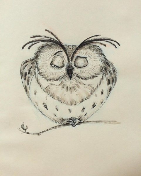 Сова карандашом