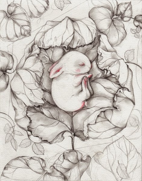 Милые Наброски