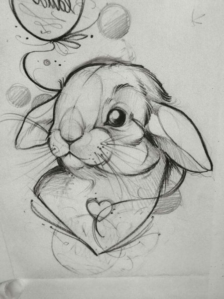 Милые кролик скетч