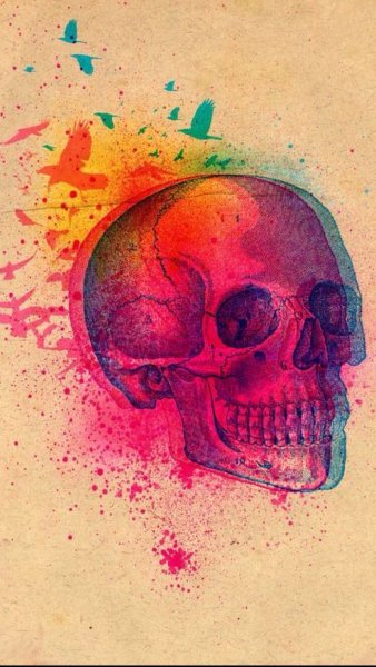 Череп крутой арт