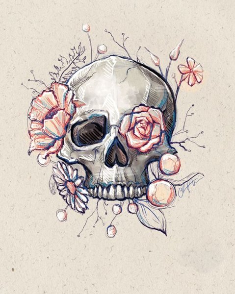 Череп стилизованный