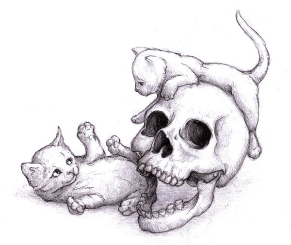 Милые черепа