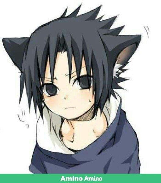 Неко кун Саске