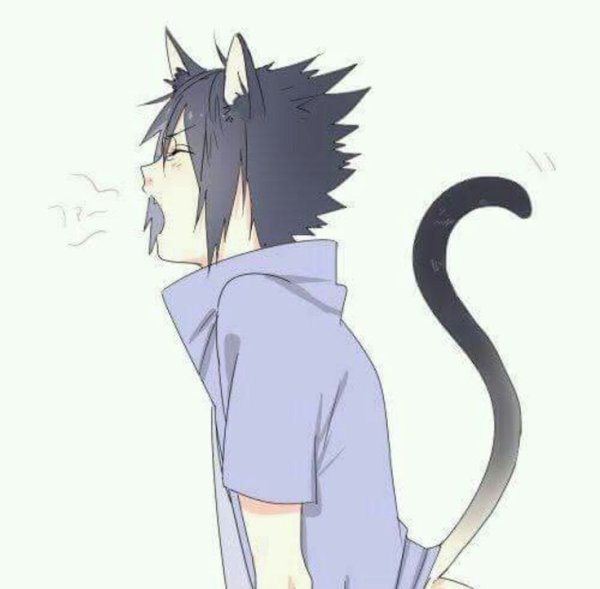 Саске кот НАРУСАСУ