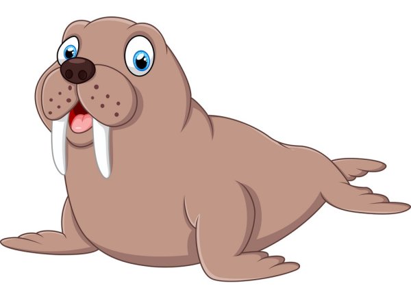 Векторный морж