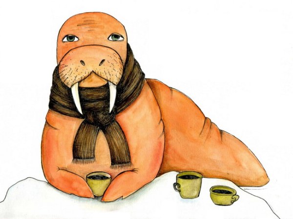 Милый Моржик рисунок