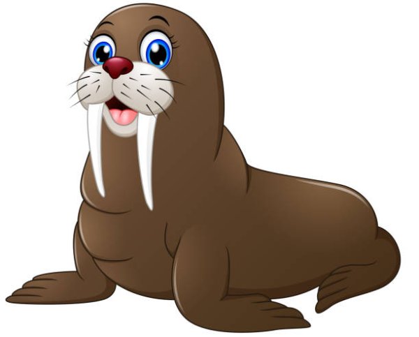 Морж мультяшка