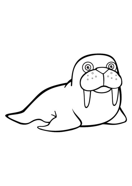 Морж раскраска
