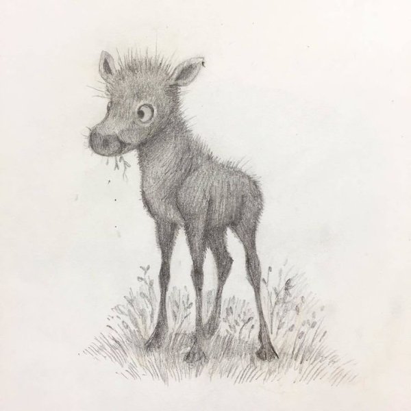 Милые лосята