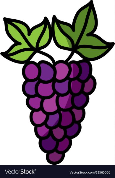 Милый виноград рисунок