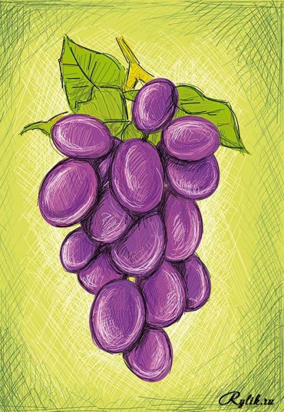 Рисование с детьми виноград