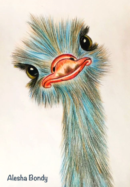 Страус иллюстрация
